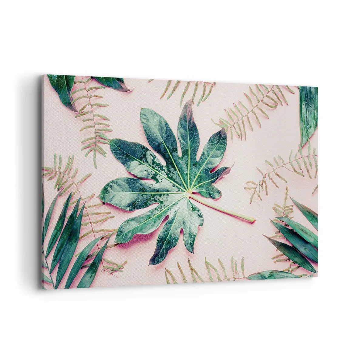 Canvas picture - Study in Green on Pink Background - 120x80 cm