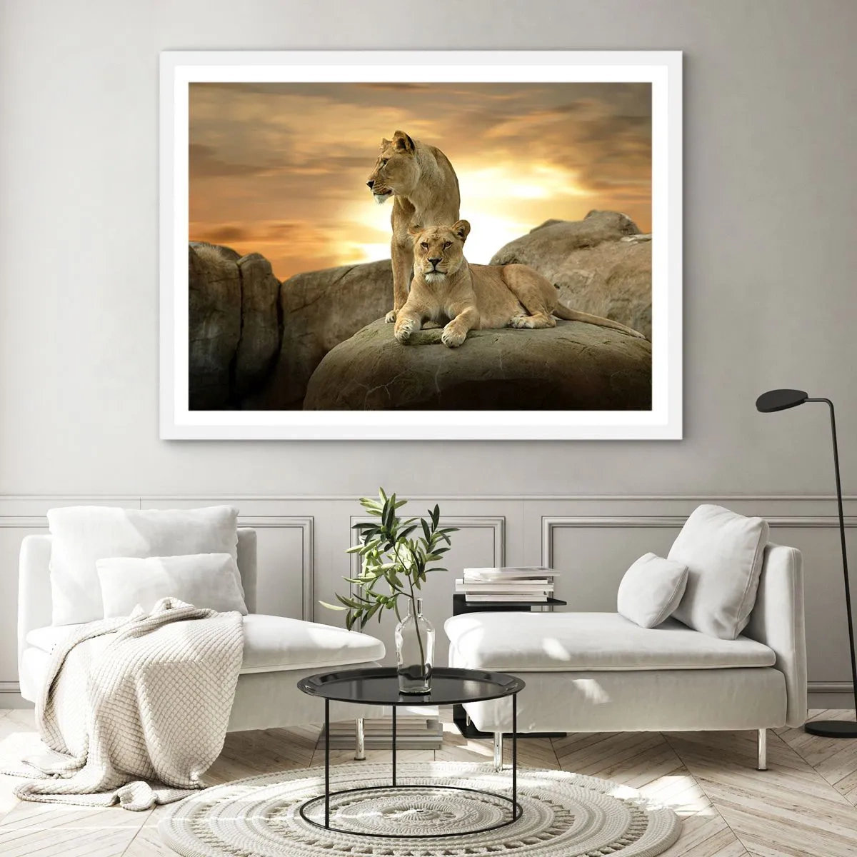 Poster in white frmae - Royal Majesty - 70x50 cm