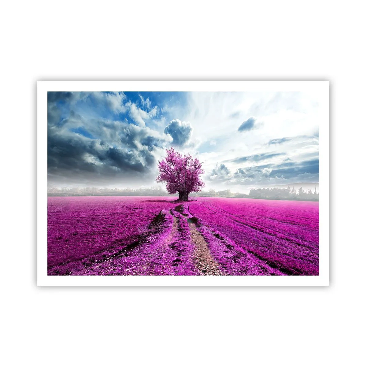 Poster - Heathland Charm - 100x70 cm