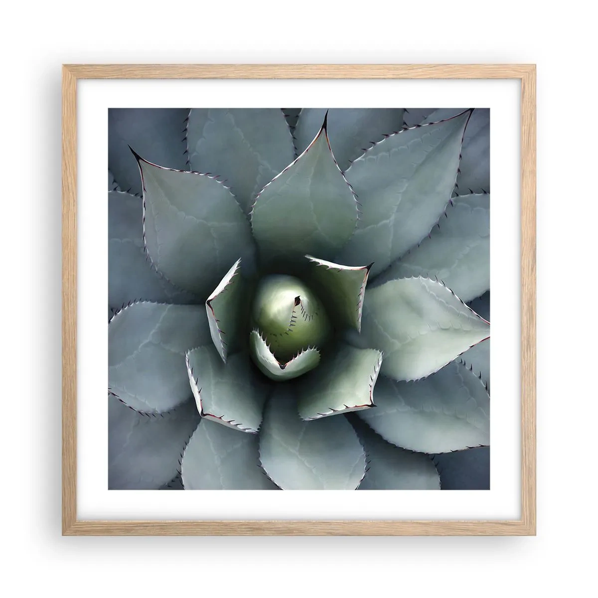 Poster in light oak frame - Attracts and Warns - 50x50 cm