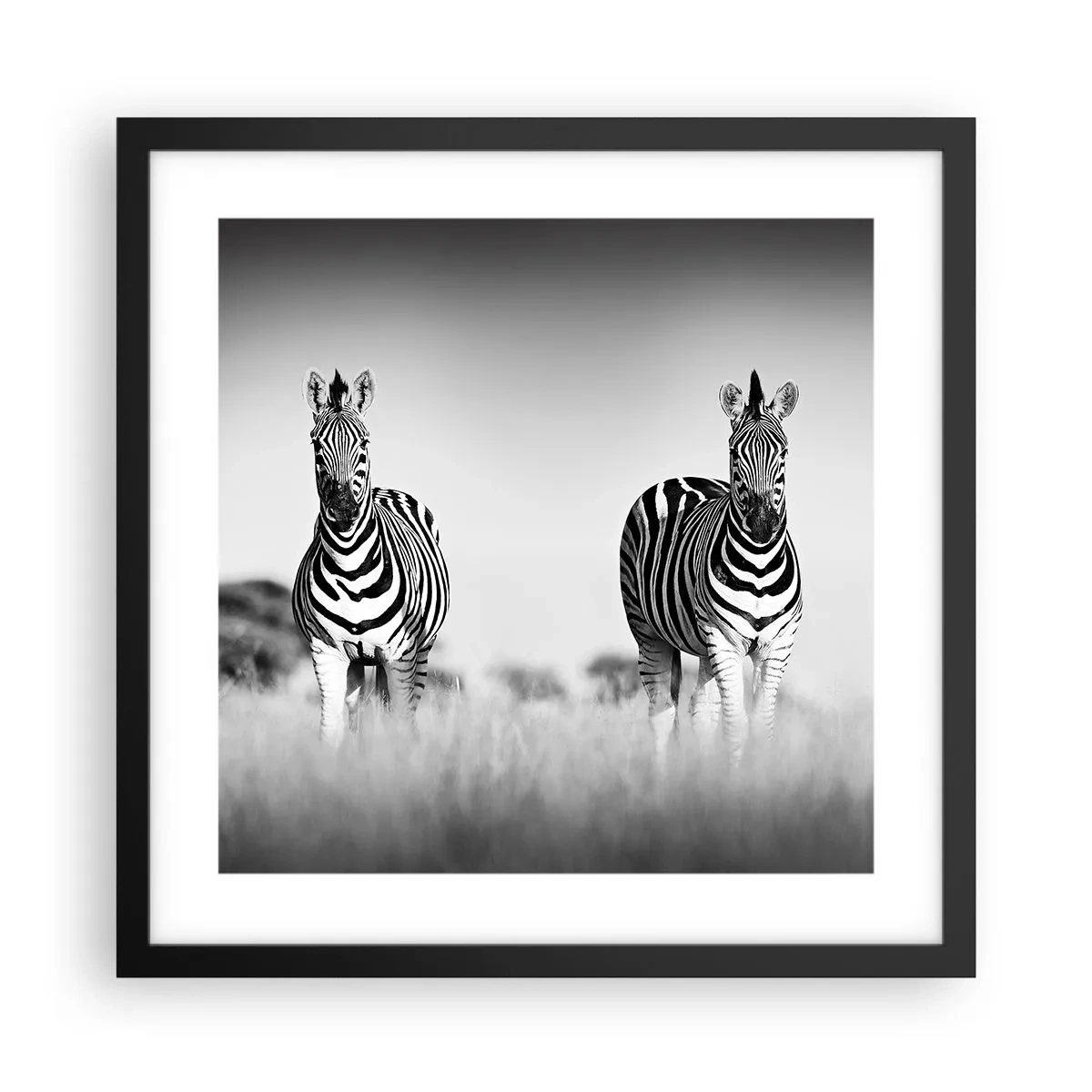 Poster in black frame - After All the World is Black and White - 40x40 cm