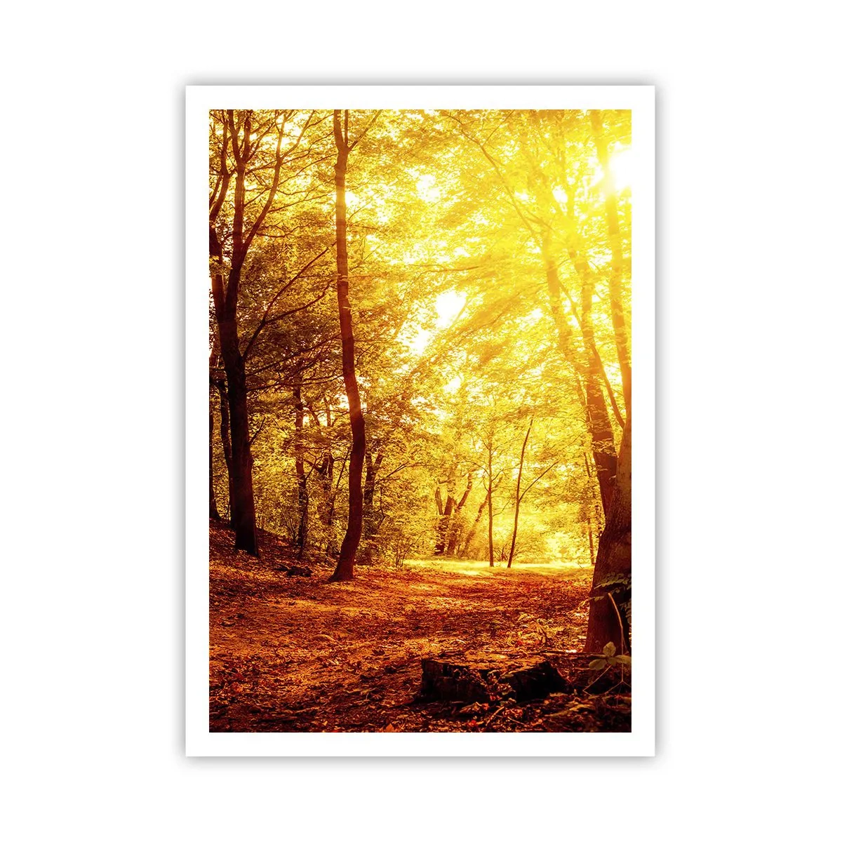 Poster - Towards Golden Plain - 70x100 cm
