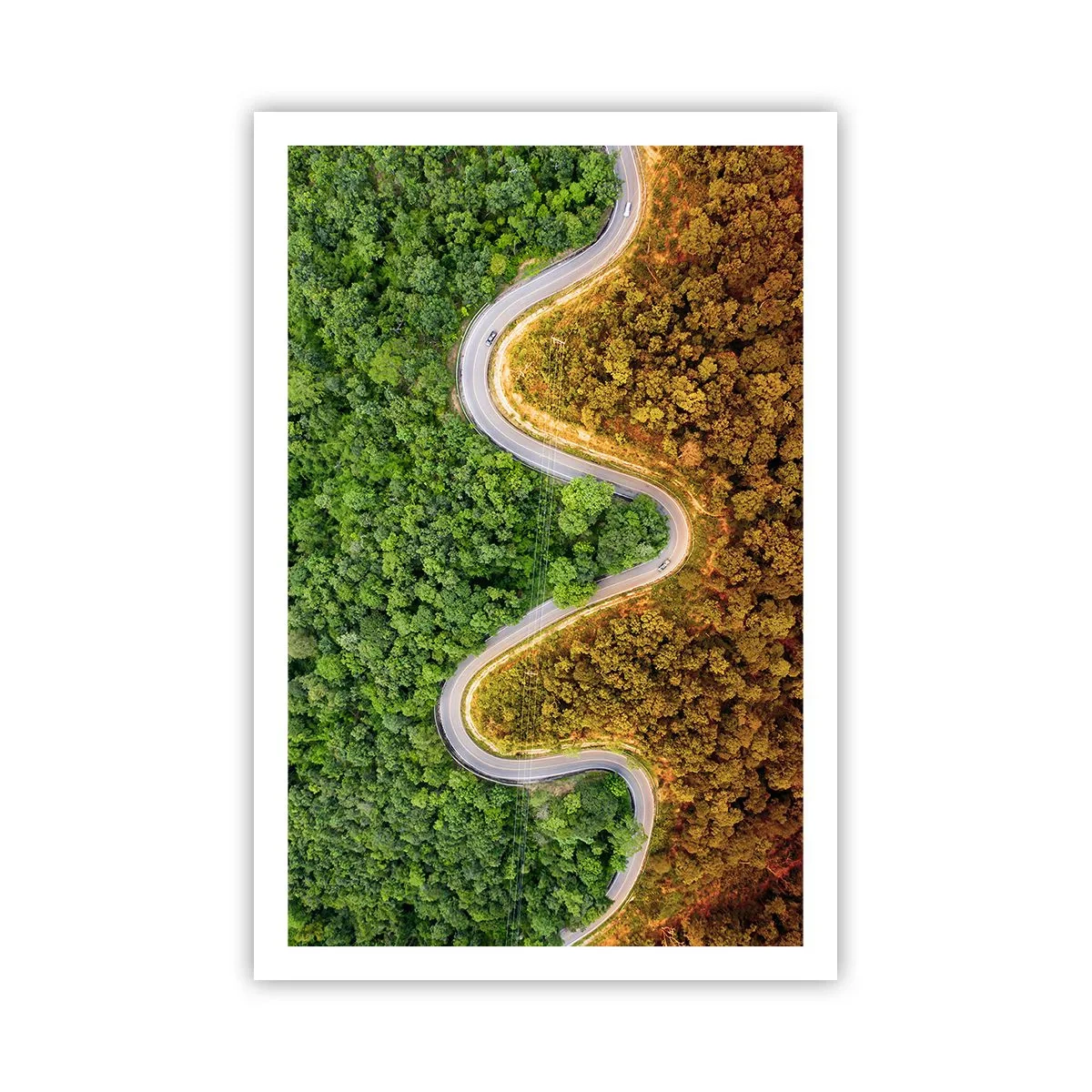 Poster - Borders and Breakthroughs - 61x91 cm