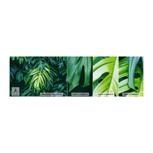 Photo Wallpaper Sample Standard Eco - Immerse Yourself in Freshness - Tropical Plant, Monstera leaf, Nature - 100x30 cm