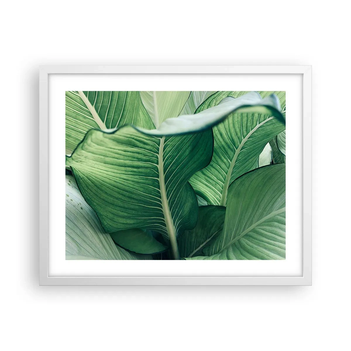 Poster in white frmae - Life in Intense Green Colour - 50x40 cm