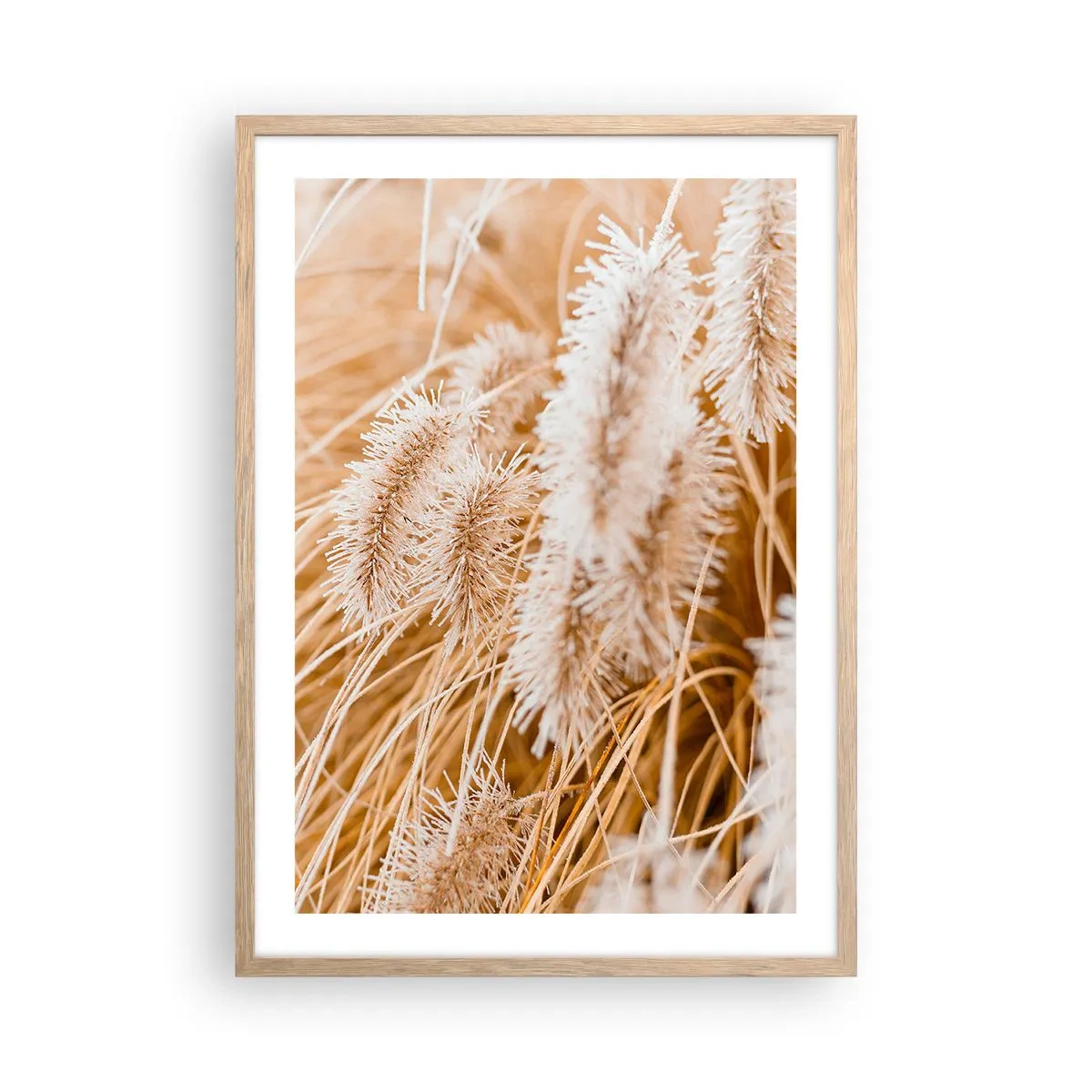 Poster in light oak frame - Golden Rustling of Grass - 50x70 cm