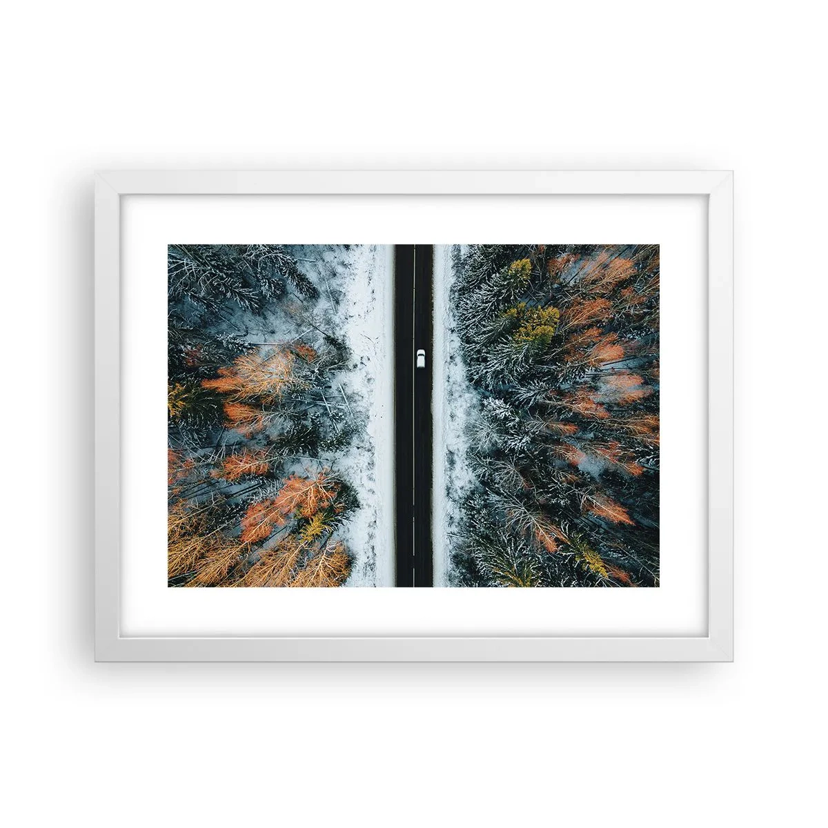 Poster in white frmae - Through a Wintery Forest - 40x30 cm