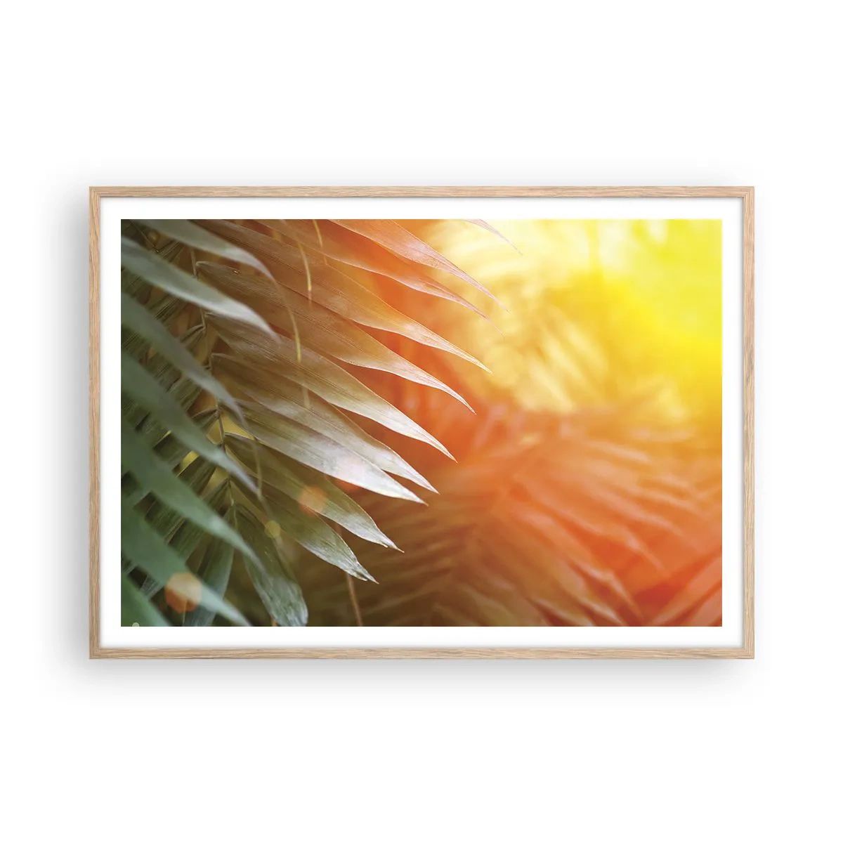 Poster in light oak frame - Morning in the Jungle - 100x70 cm