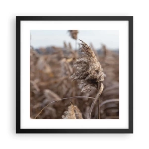 Poster in black frame - Time to Fly with the Wind - 40x40 cm