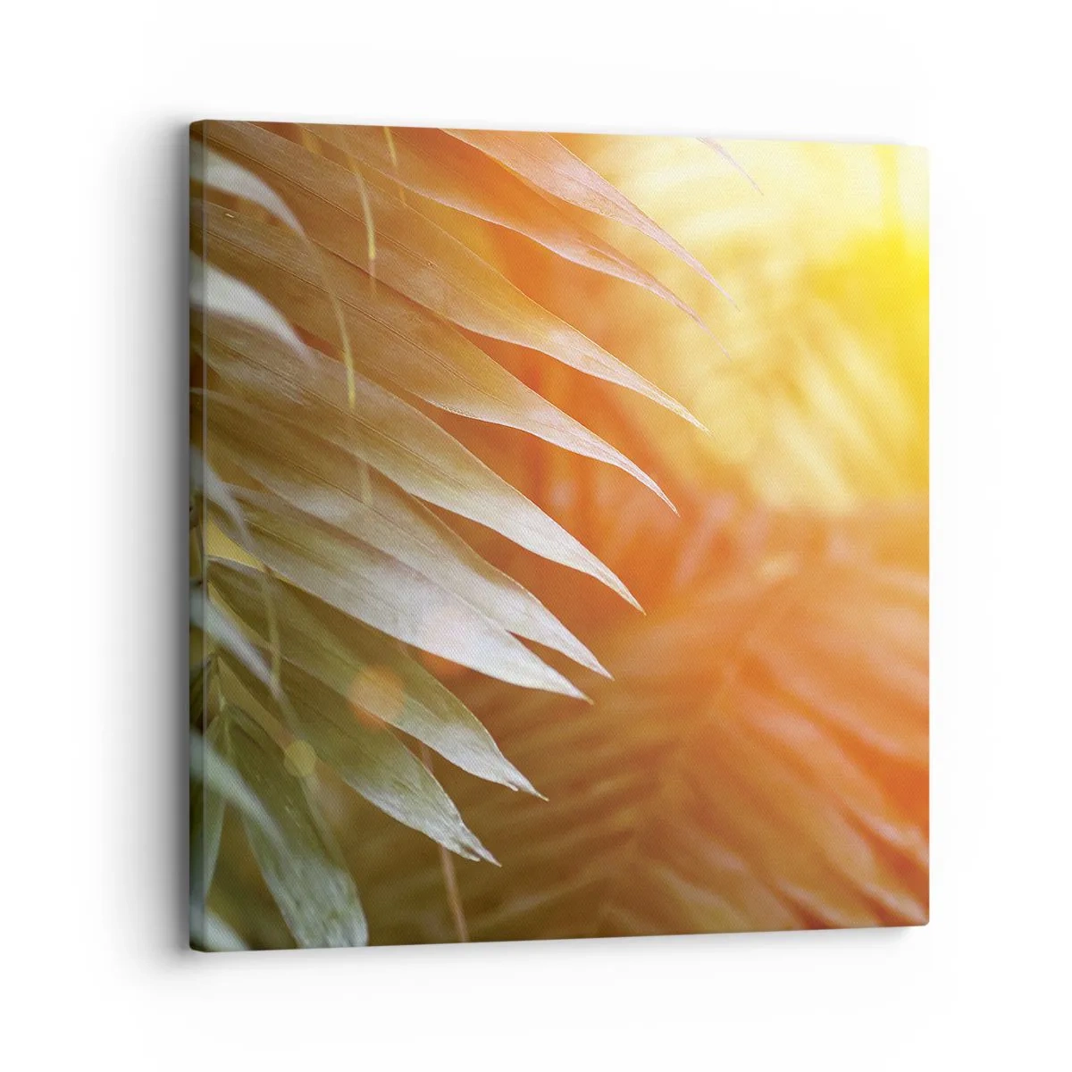 Canvas picture - Morning in the Jungle - 30x30 cm