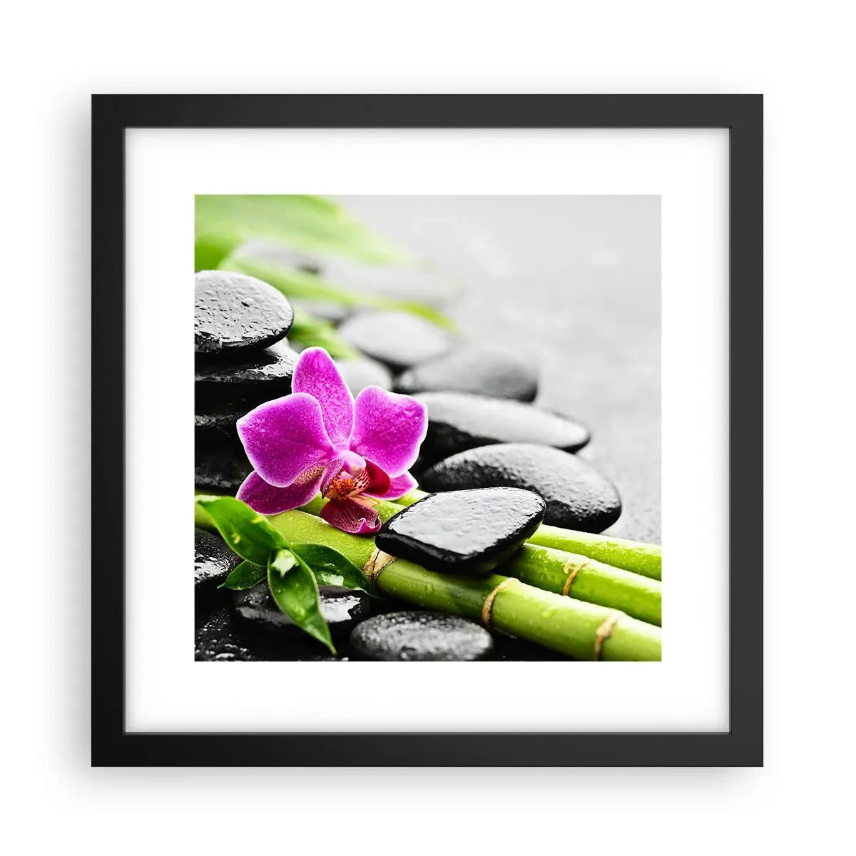 Poster in black frame - In a Peaceful Balance - 30x30 cm