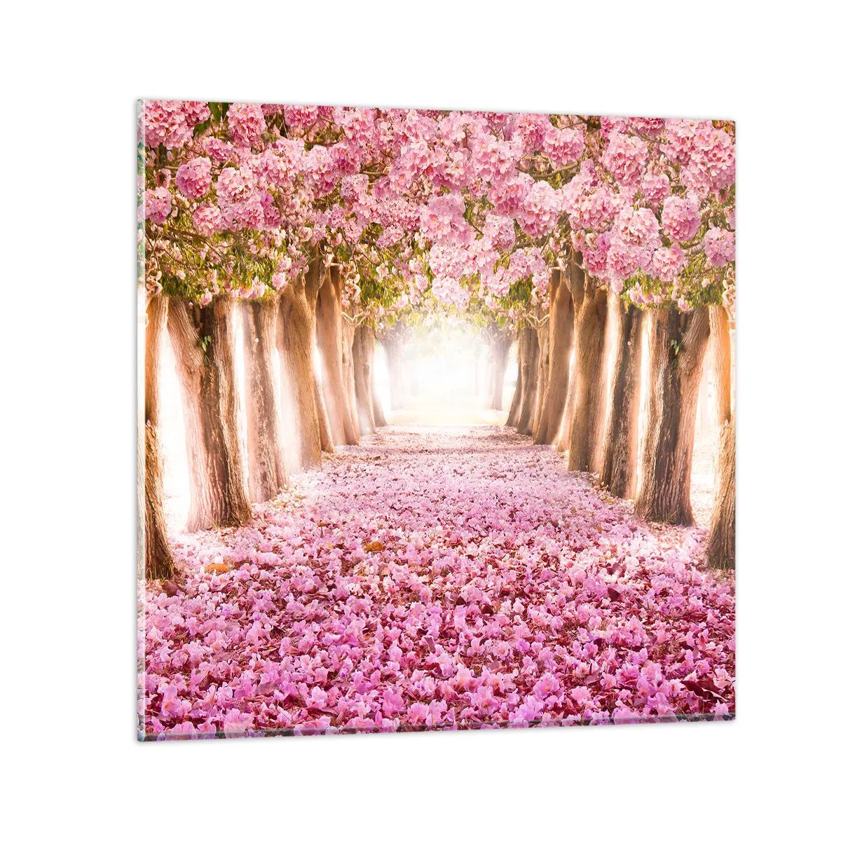 Glass picture - Way to Heaven - 50x50 cm