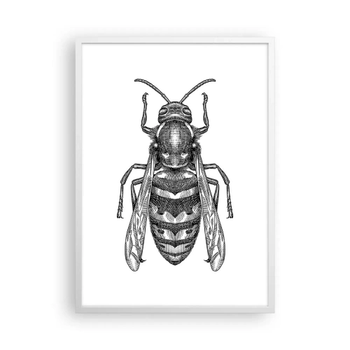 Poster in white frmae - From Insect Planet - 50x70 cm