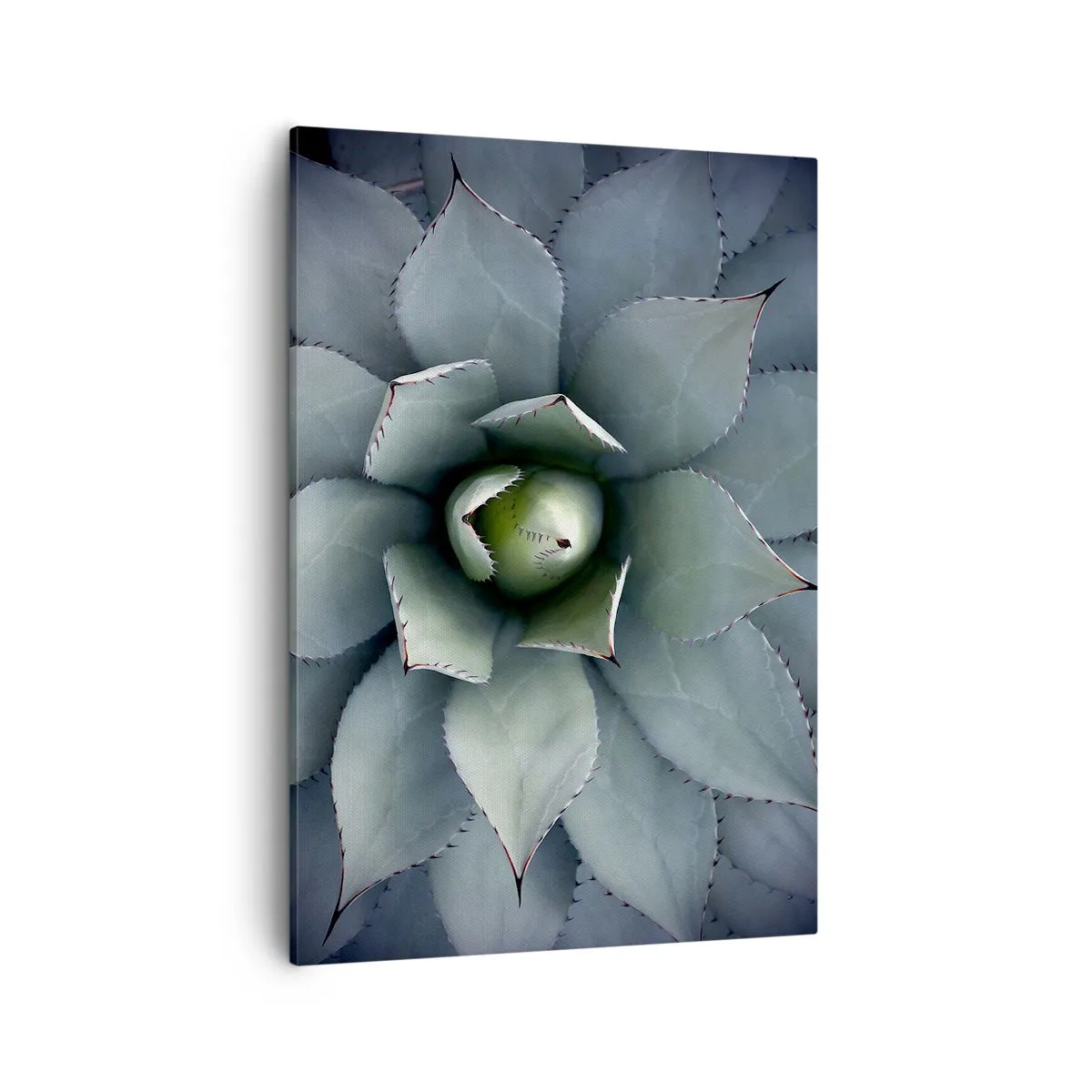 Canvas picture - Attracts and Warns - 50x70 cm