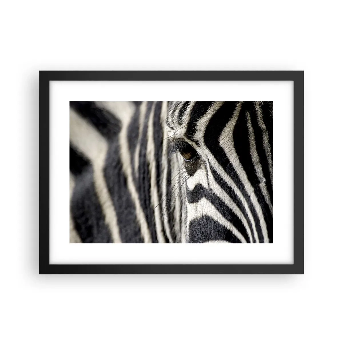 Poster in black frame - Striped Portrait - 40x30 cm