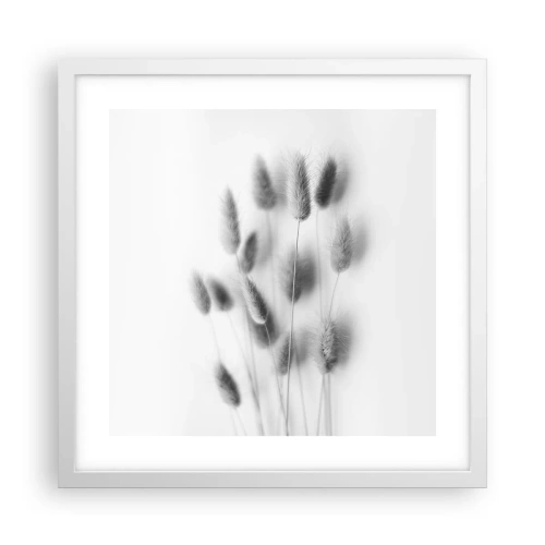 Poster in white frmae - Her Softness Grass - 40x40 cm
