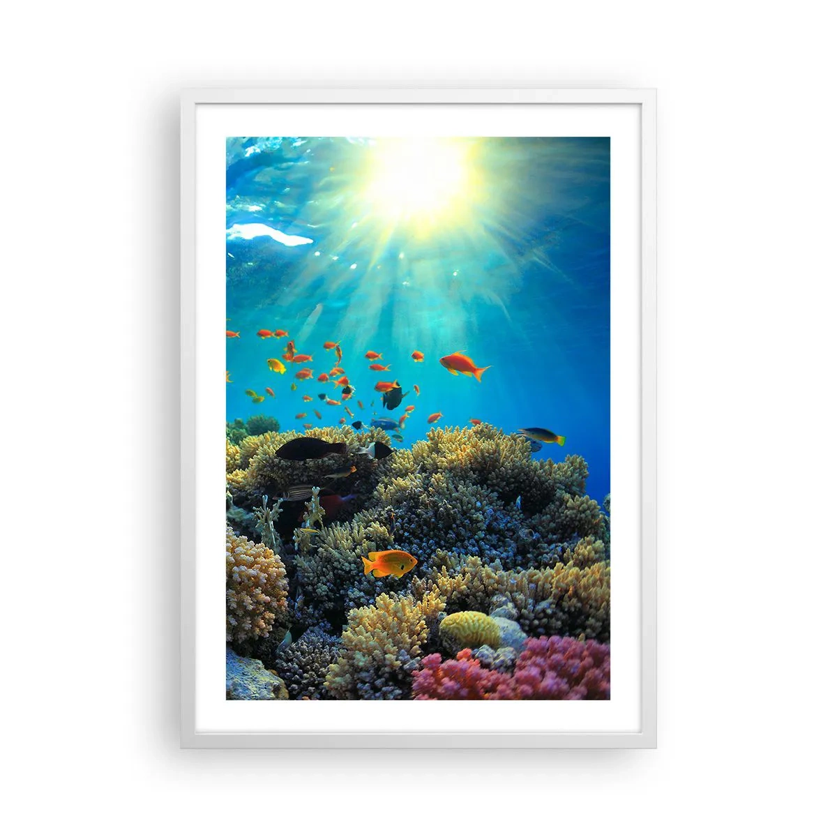 Poster in white frmae - Underwater Treasures - 50x70 cm
