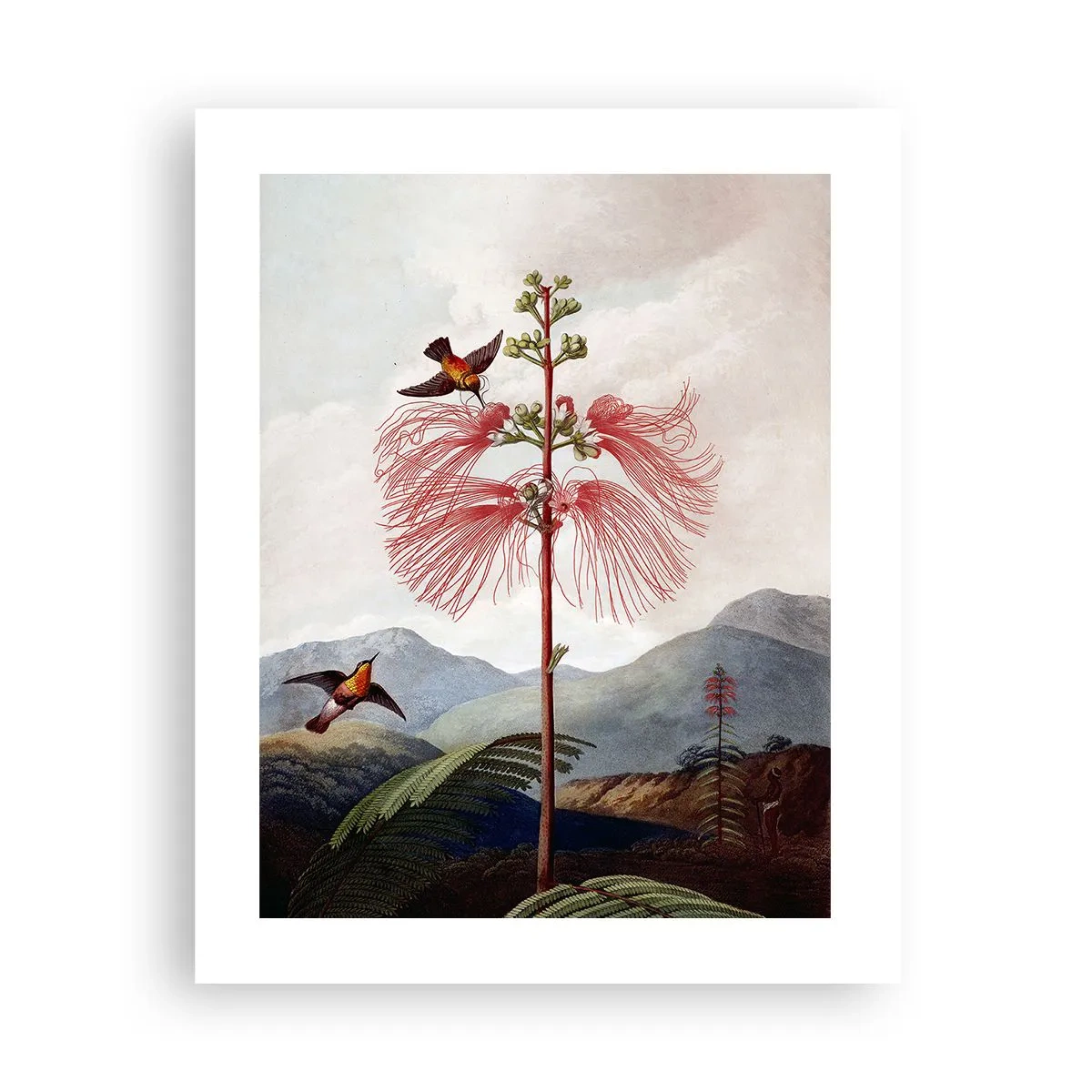 Poster - In a Tropical Paradise - 40x50 cm