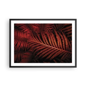 Poster in black frame - Heat of Life - 70x50 cm