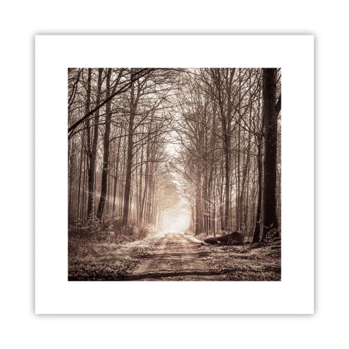 Poster - Cathedral of the Forest - 30x30 cm