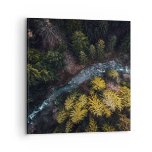 Canvas picture - Fast and Faster - 70x70 cm