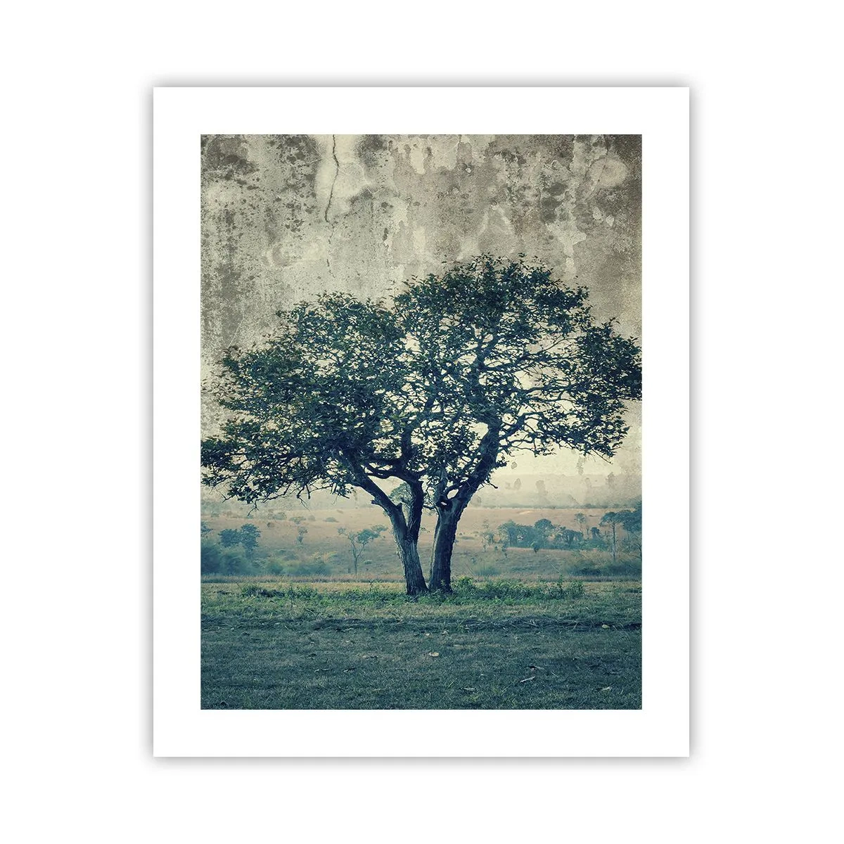 Poster - Apple Tree in Blue? - 40x50 cm