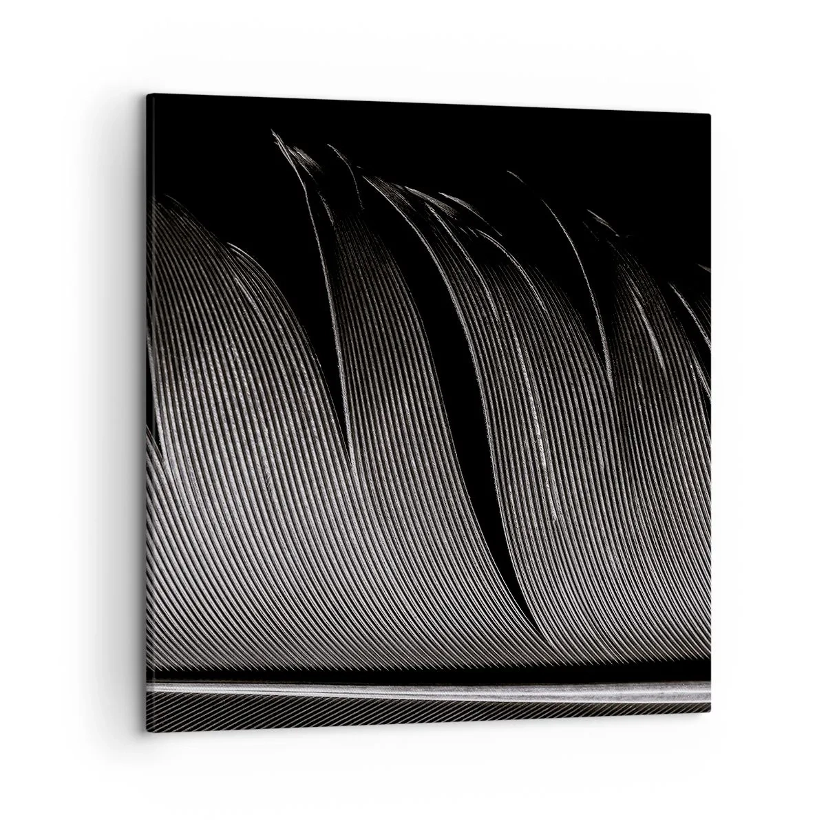 Canvas picture - Feather - Wonderful Constract - 50x50 cm