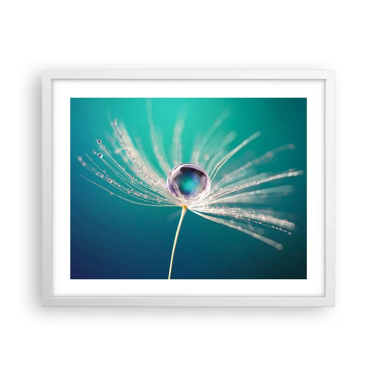 Poster in white frmae - Mystical Moment - 50x40 cm