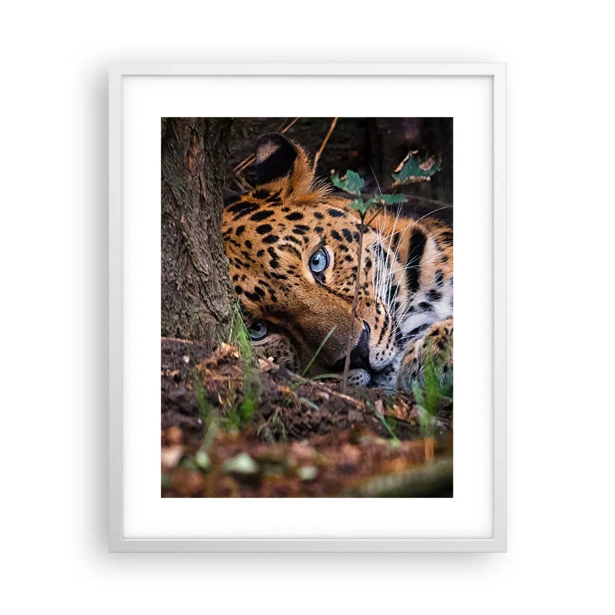 Poster in white frmae - Trust Me - 40x50 cm