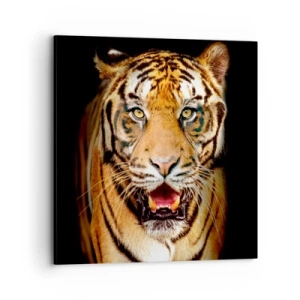 Canvas picture - Wild at Heart - 70x70 cm