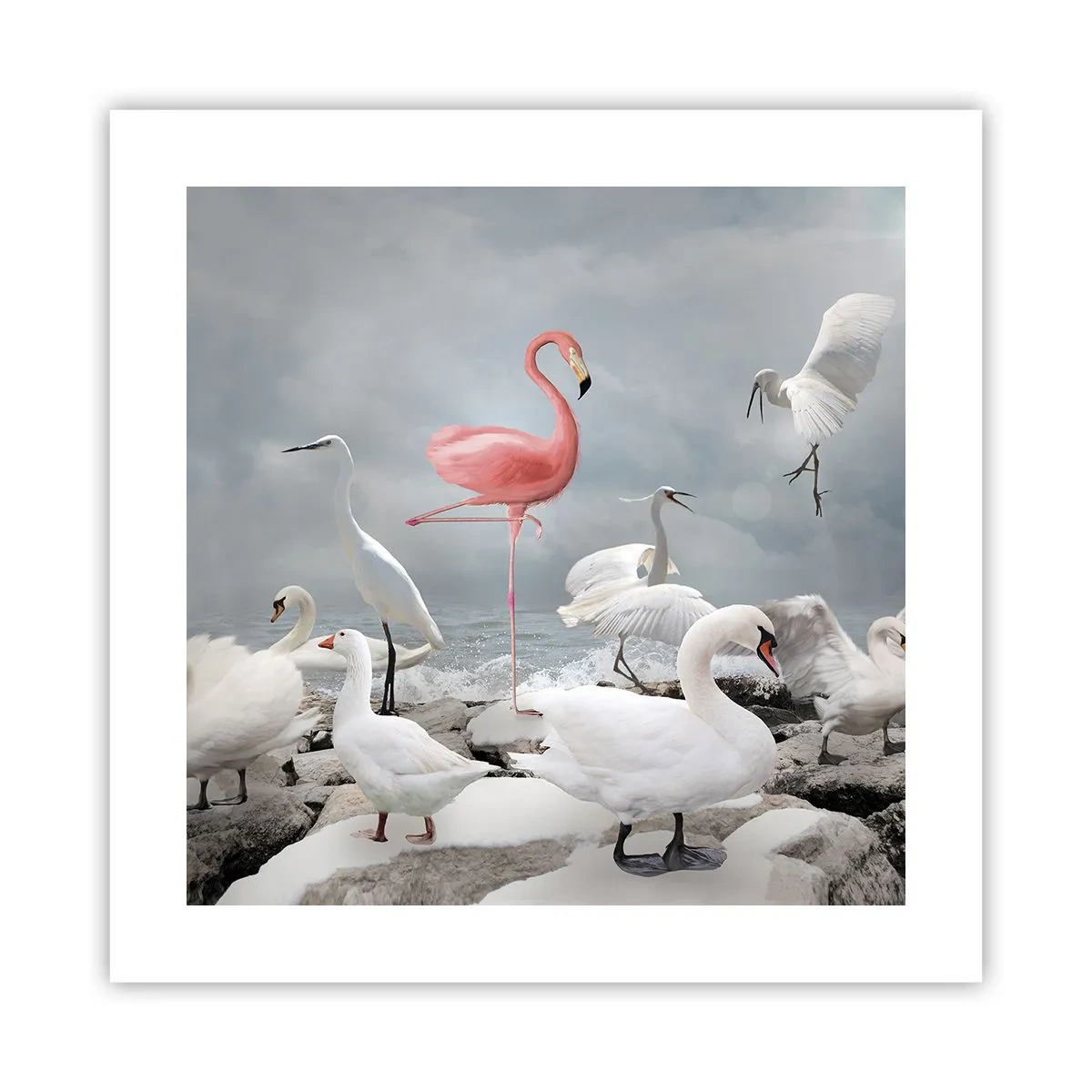 Poster - Where Did I Come from? - 40x40 cm