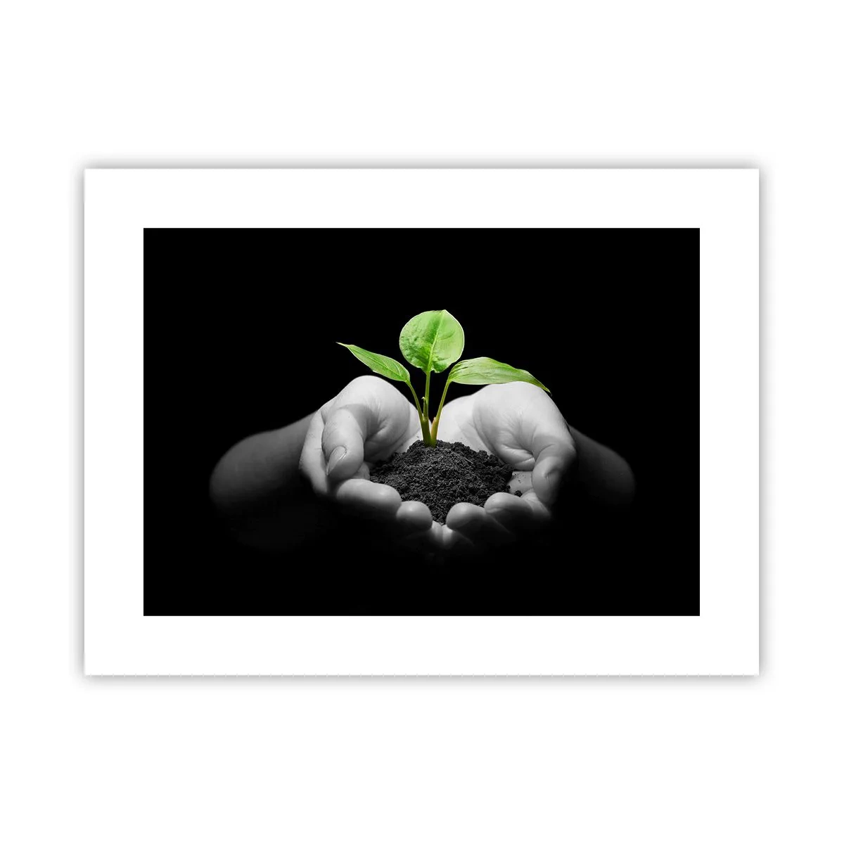 Poster - I Love Nature, I Protect It - 40x30 cm