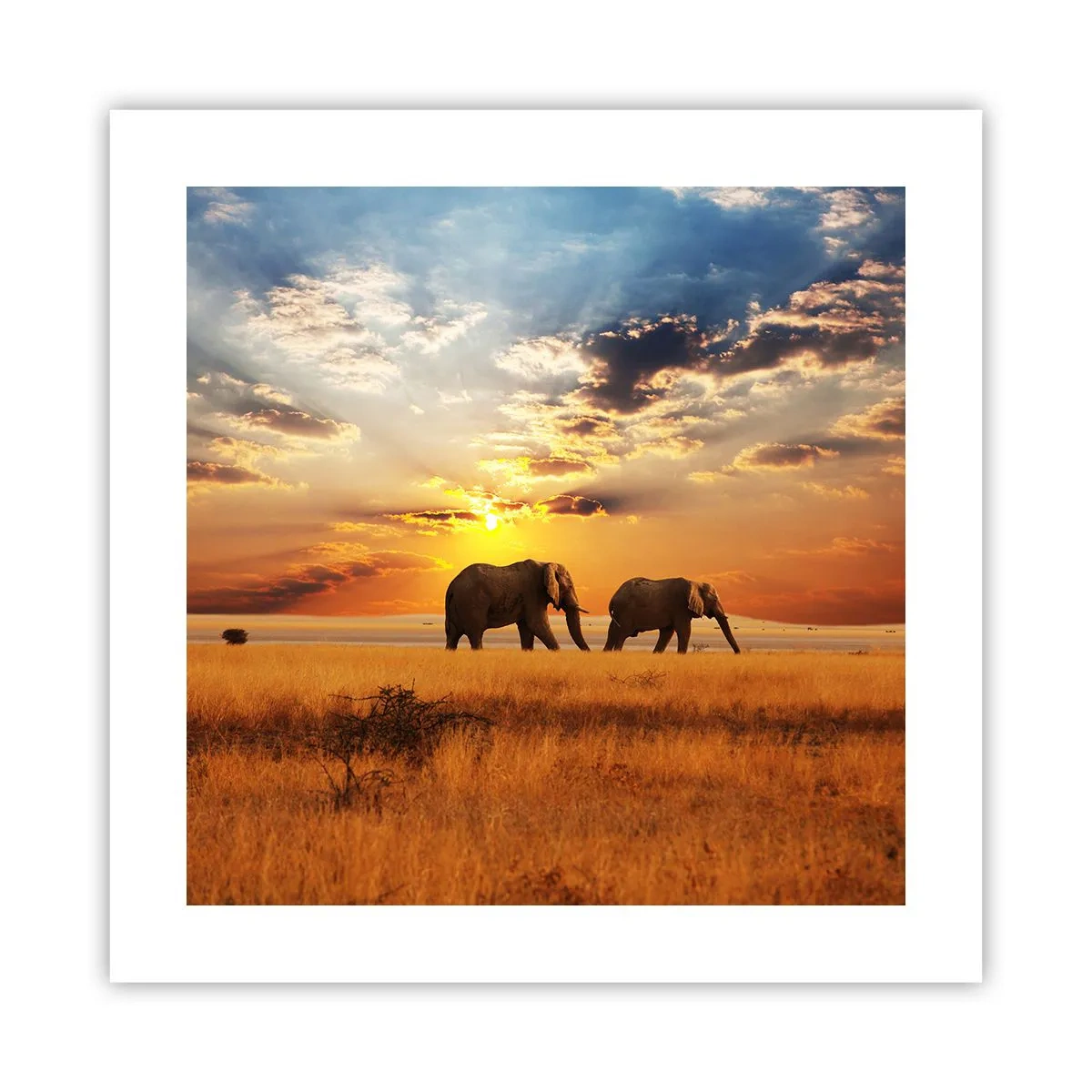 Poster - Family Walk - 40x40 cm