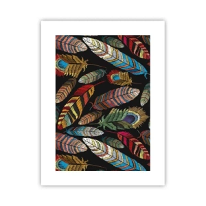 Poster - Bird Carnival - 30x40 cm