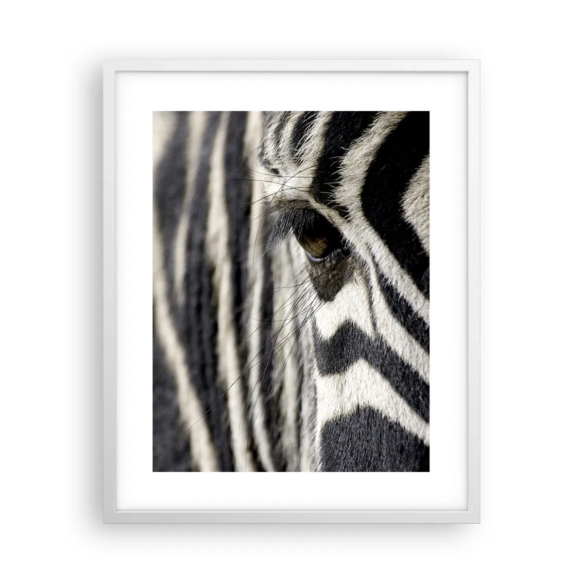 Poster in white frmae - Striped Portrait - 40x50 cm