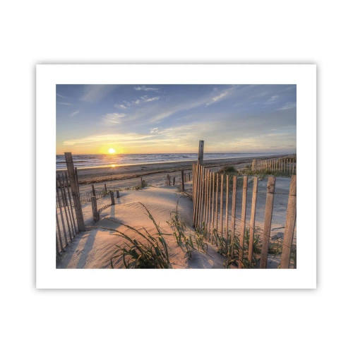 Poster - Light and Shade of the Wind - 50x40 cm