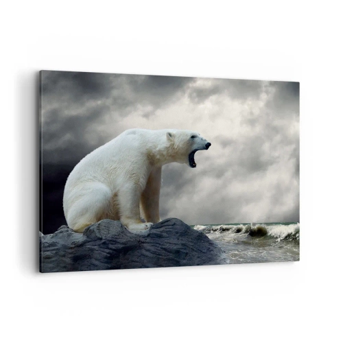 Canvas picture - Lonely King of the Arctic - 100x70 cm