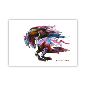 Poster - In Elation - 91x61 cm