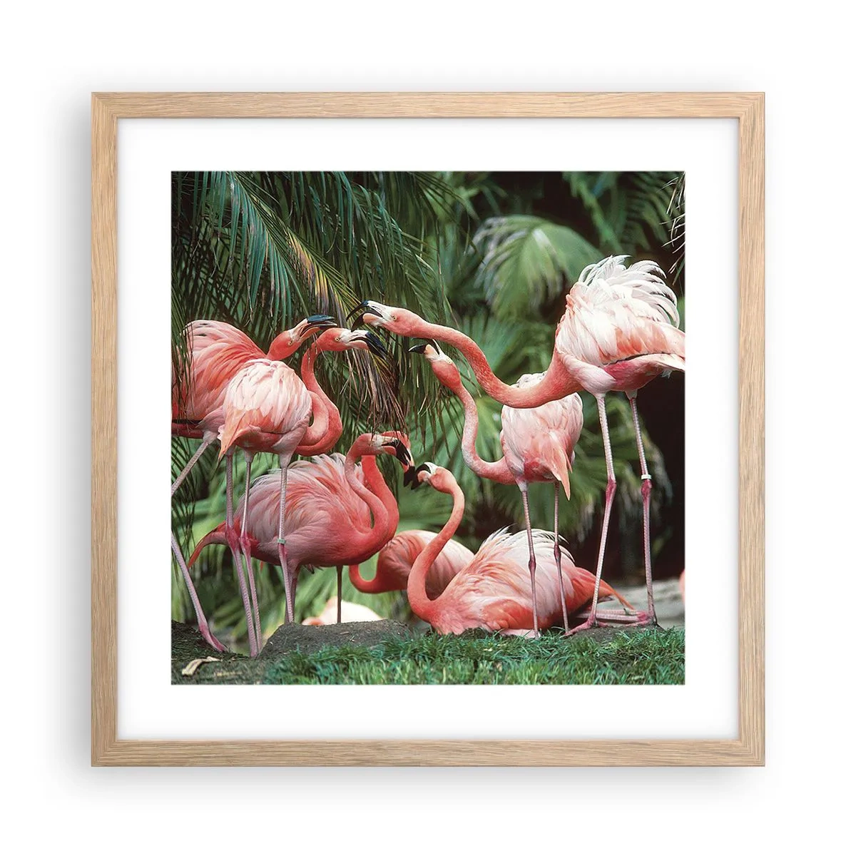 Poster in light oak frame - Afternoon Gossip - 40x40 cm