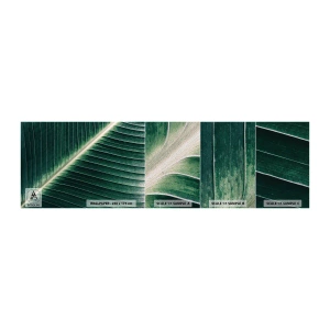 Photo Wallpaper Sample Premium Sand - Rhythm of Nature - Abstraction, Green leaf, Graphics - 100x30 cm
