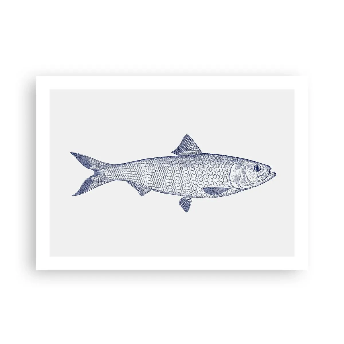 Poster - Greetings From Northern Seas - 70x50 cm