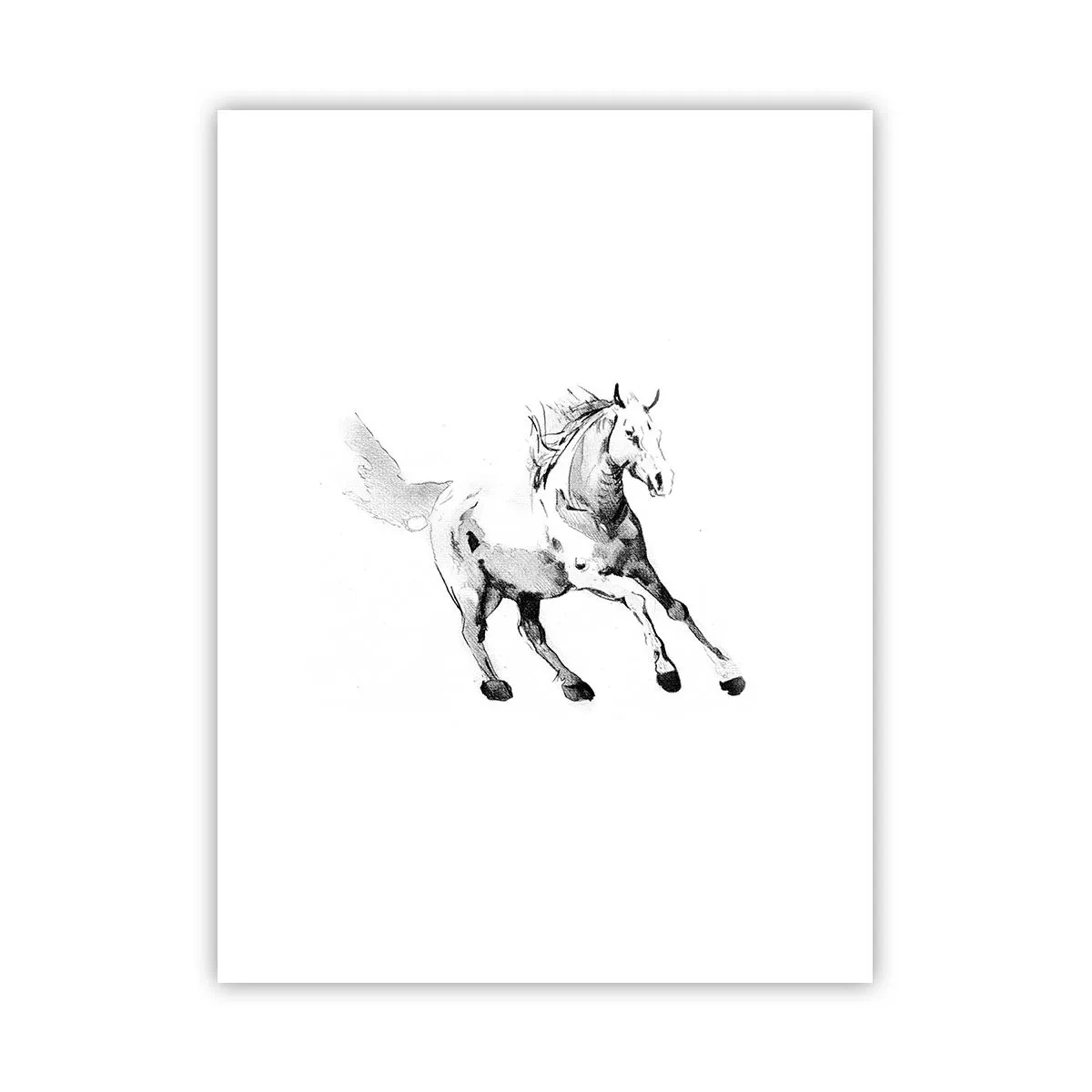 Poster - Untamed Soul - 30x40 cm