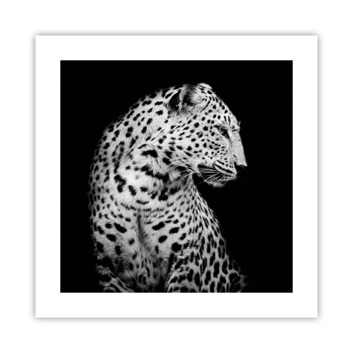 Poster - A Perfect Right Profile - 40x40 cm