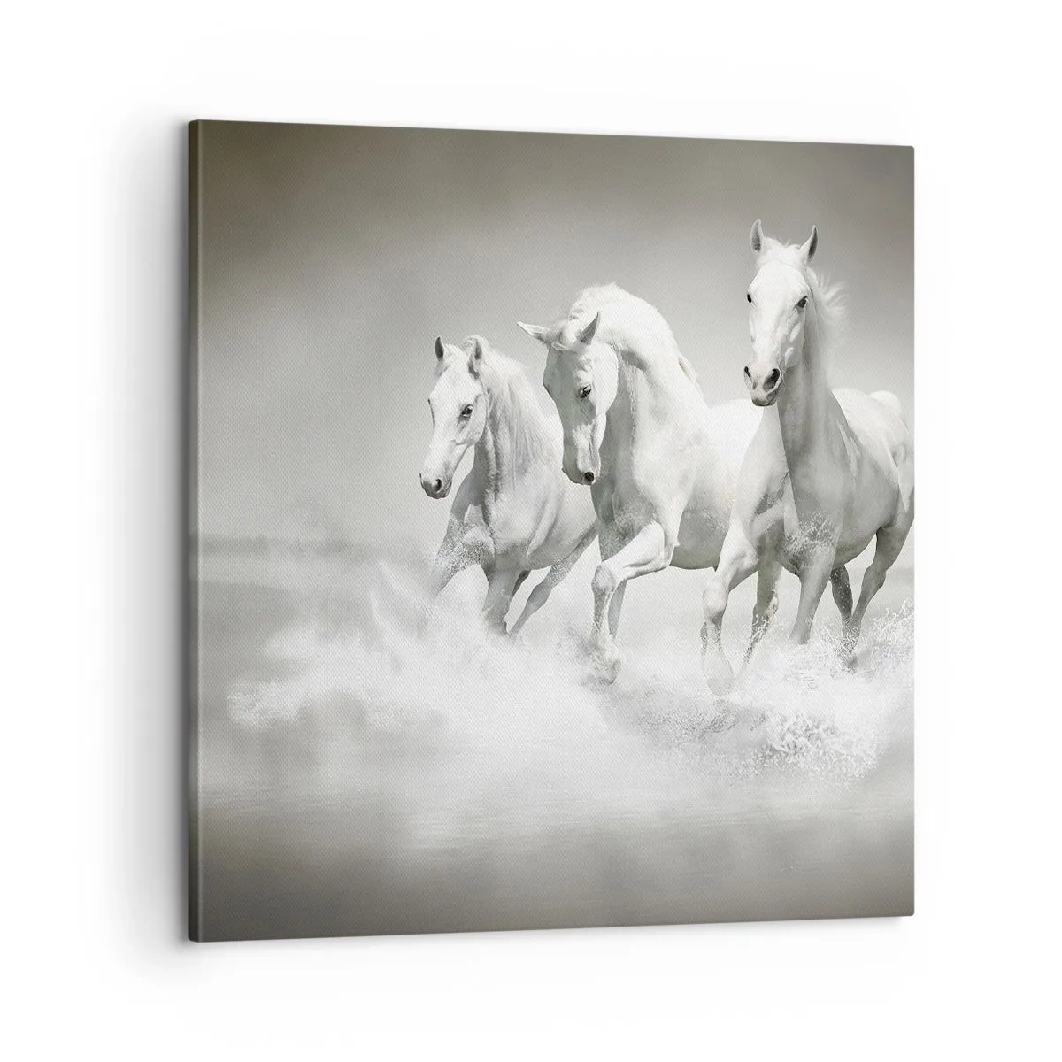 Canvas picture - White Madness - 60x60 cm