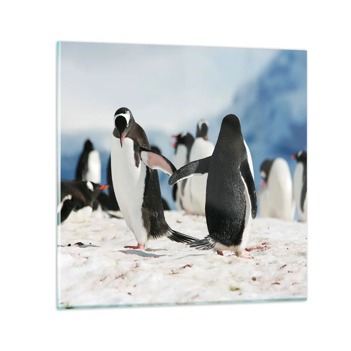 Glass picture - Dance in the Snow - 40x40 cm