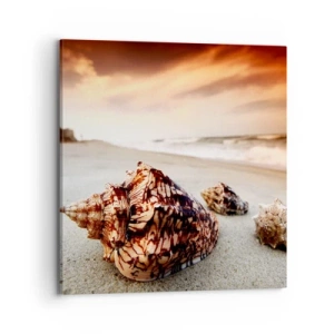 Canvas picture - Expelled by Waves - 70x70 cm