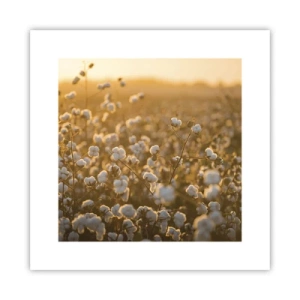 Poster - Fluffy Field - 30x30 cm