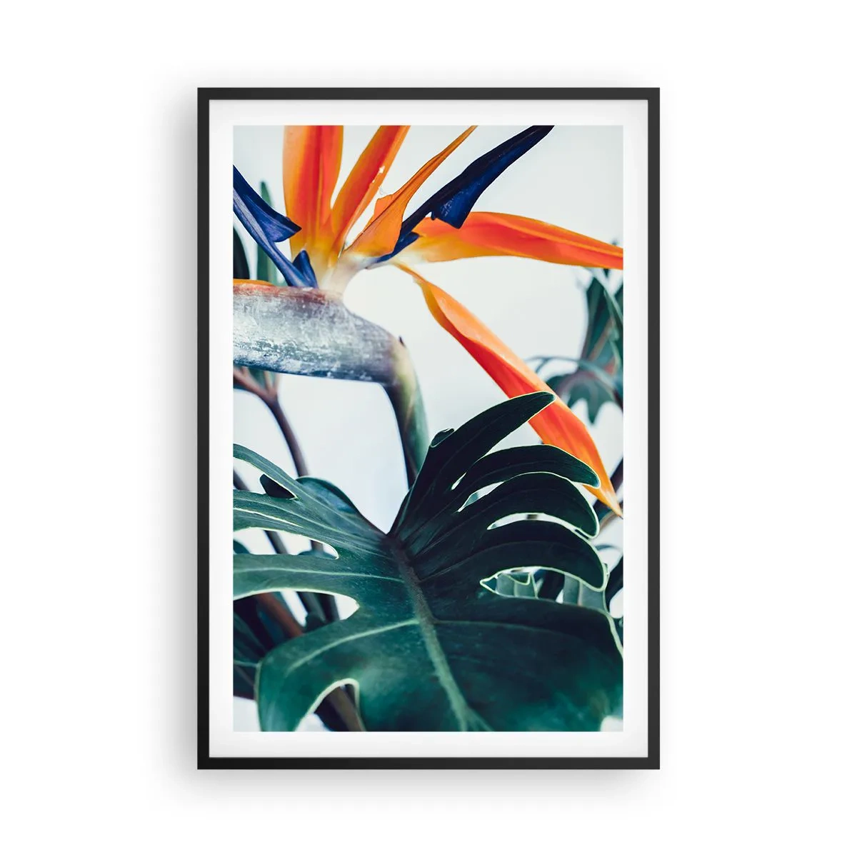 Poster in black frame - Birdy Bush - 61x91 cm