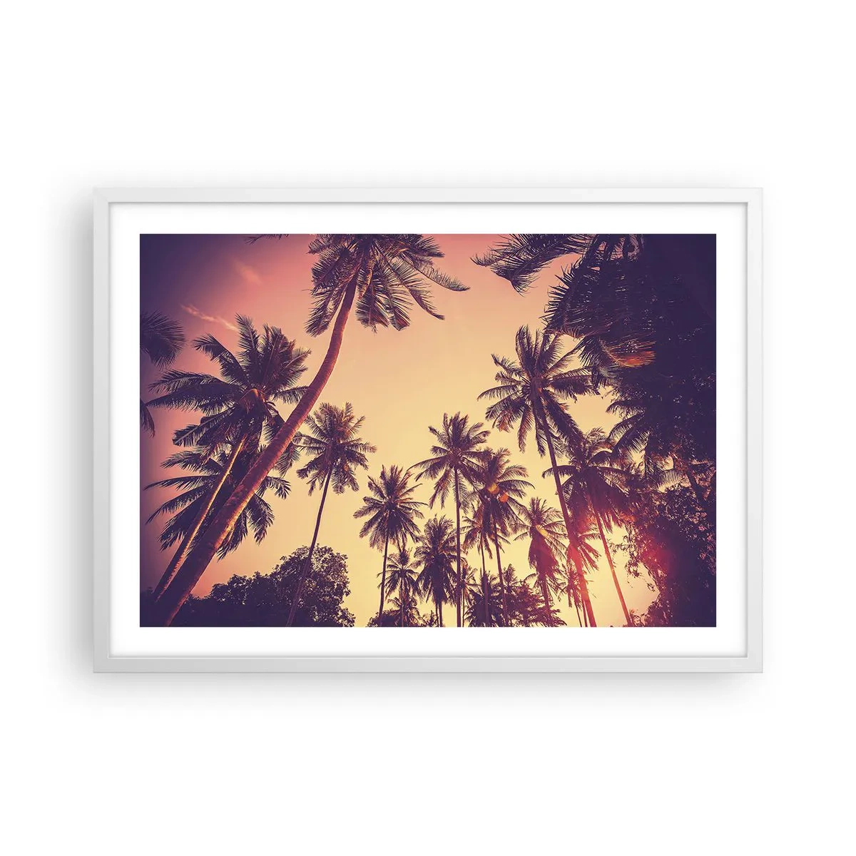 Poster in white frmae - Tropical Variation - 70x50 cm
