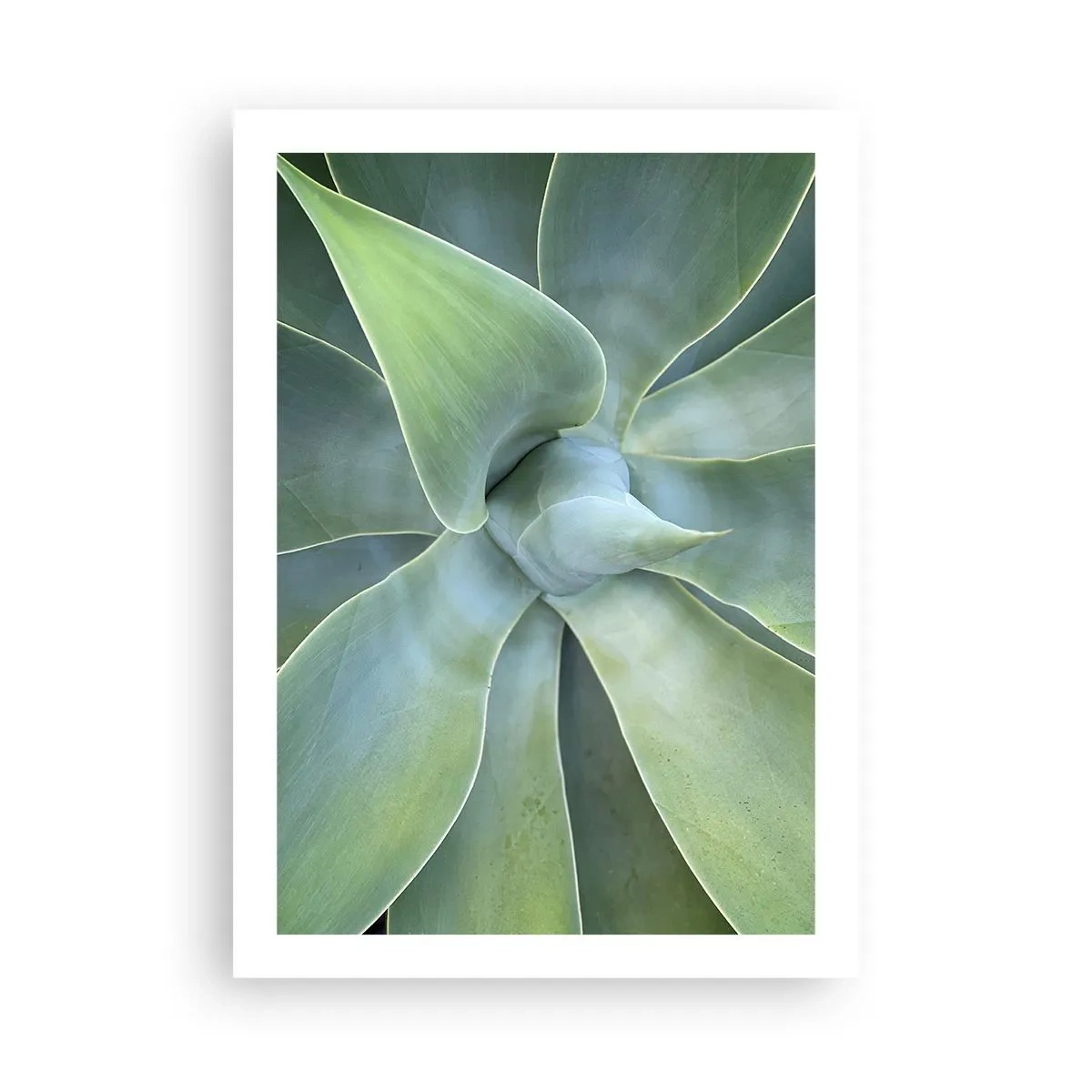 Poster - Birth of Green - 50x70 cm